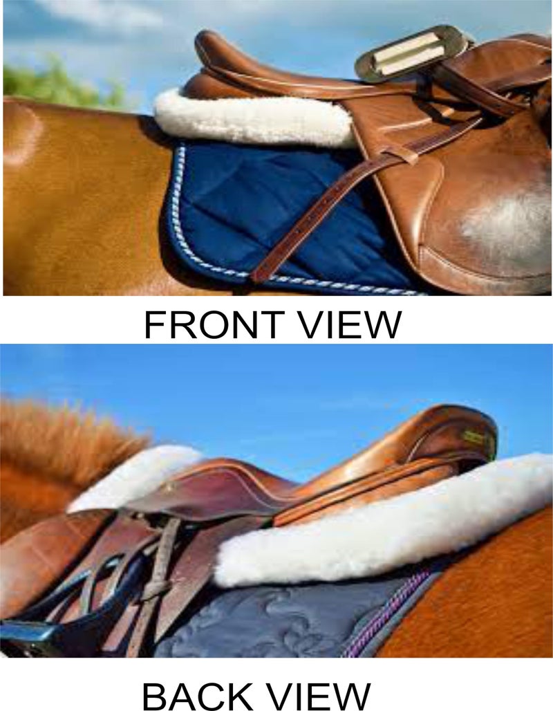 BLESSING PET SUPPLY Horse Riding Gears and Track Set (Horse Half Saddle PAD) - Image 2