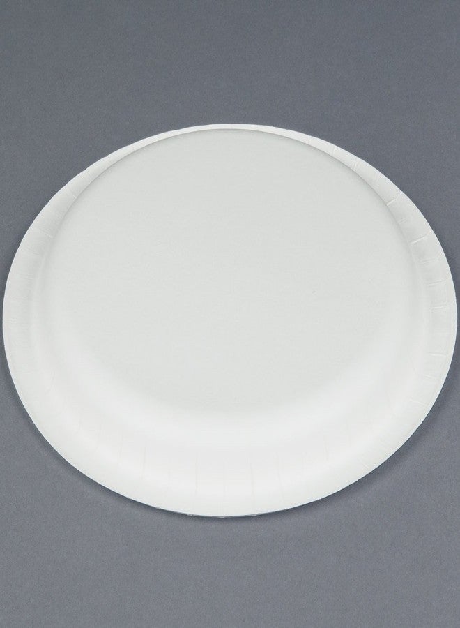 Amscan Frosty White Round Paper Plates - 10", 20 Ct - Image 3