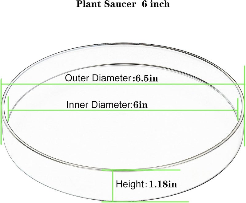 Afrine Plant Saucer, Plant Saucers - Image 2