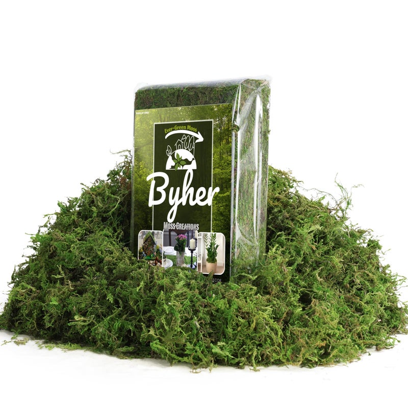 BYHER 7OZ Moss for Plants Indoor, Natural Looking Faux Grass for Crafts, Terrariums, Fairy Gardens, Floral Arrangements - Artificial Spanish Moss Alternative for Home Decor (200g) (Fresh Green) - Image 1