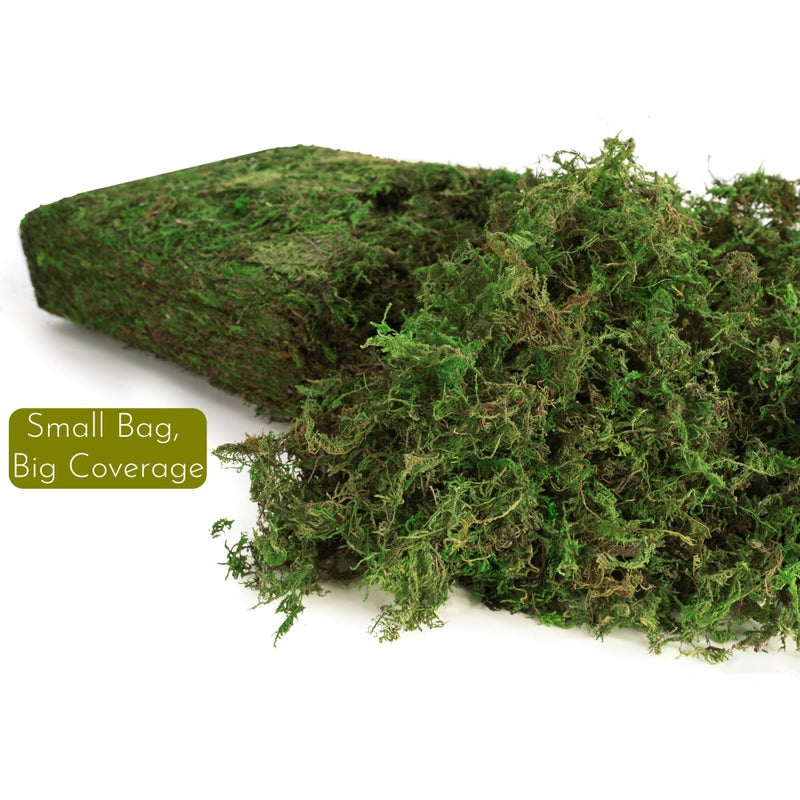BYHER 7OZ Moss for Plants Indoor, Natural Looking Faux Grass for Crafts, Terrariums, Fairy Gardens, Floral Arrangements - Artificial Spanish Moss Alternative for Home Decor (200g) (Fresh Green) - Image 3