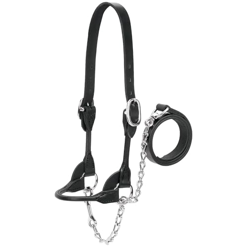 Weaver Leather DairyBeef Rounded Show Halter Black Medium - Image 1