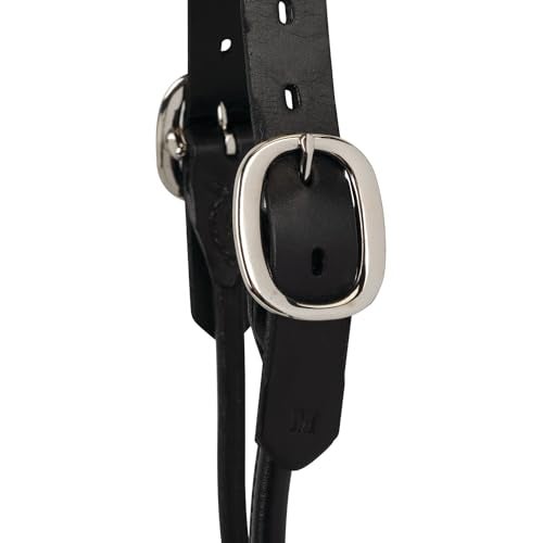 Weaver Leather DairyBeef Rounded Show Halter Black Medium - Image 3