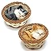 Coolayoung 2Pcs Sleeping Cat in Basket Doll Toy Mini Kitten in Woven Basket with Meows Sounds Decor for Office Desk Hand Toy Gift for Kids Boys Girls - Image 2