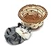 Coolayoung 2Pcs Sleeping Cat in Basket Doll Toy Mini Kitten in Woven Basket with Meows Sounds Decor for Office Desk Hand Toy Gift for Kids Boys Girls - Image 3