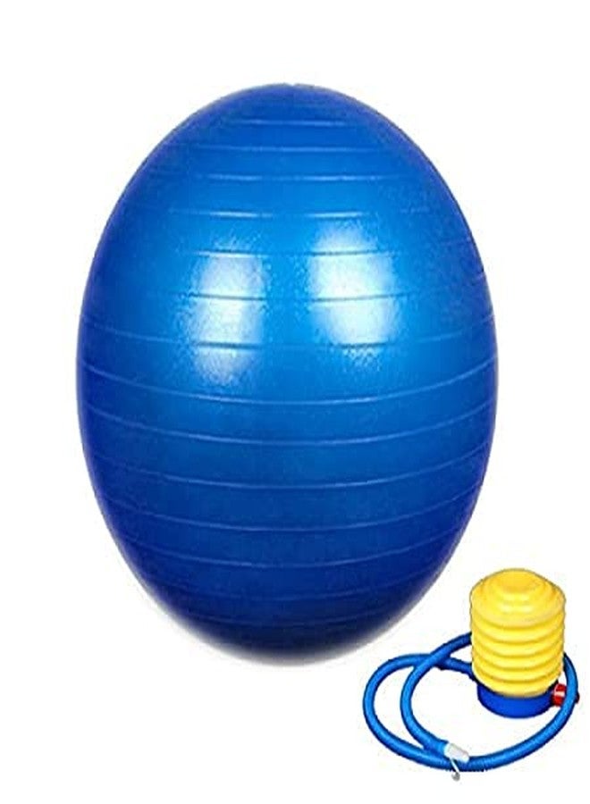 ISTARA Anti-Burst Exercise Gym Ball with Pump | Exercise Ball | Non-Slip Stability Fitness Yoga Ball | Balance Gym Ball for Home, Office, Men Women Kids (Multicolor) - Image 1