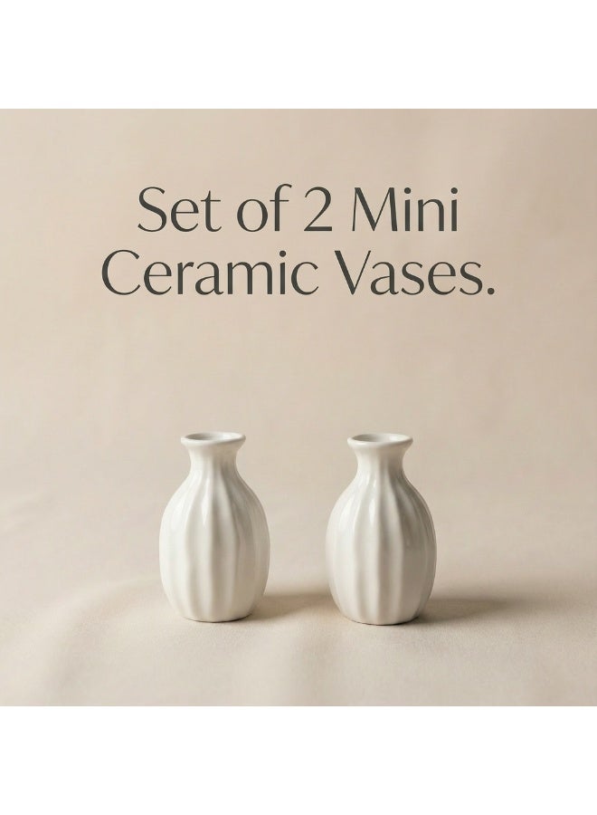 دائرة خضراء طقم مزهريات سيراميك صغيرة 8 سم (قطعتان) - مزهريات برعم لامعة بنمط متموج لتزيين الطاولة والرفوف والحمام وغرفة النوم - Image 5