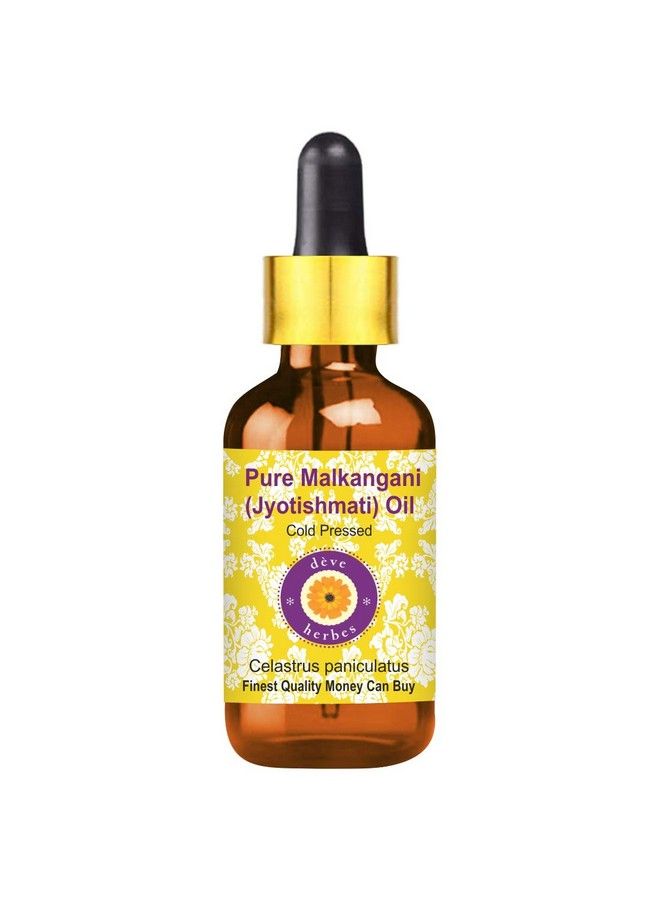 Deve Herbes Pure Malkangani (Malkangani/Jyotishmati) Oil (Celastrus Paniculatus) With Glass Dropper Natural Therapeutic Grade Cold Pressed 10Ml - Image 2