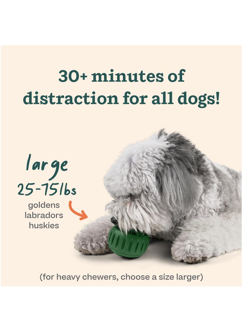 SOLARAE Fillable Dog Toy, Power Chewer Pupsicle, Dog Toy Durable Natural Rubber Fun to Chew, Large 25-75 lbs Long-Lasting Dog Toy to Keep Your Pup Distracted, Safe for Dogs, Easy to Clean, Fillable Dog Toys - Image 4