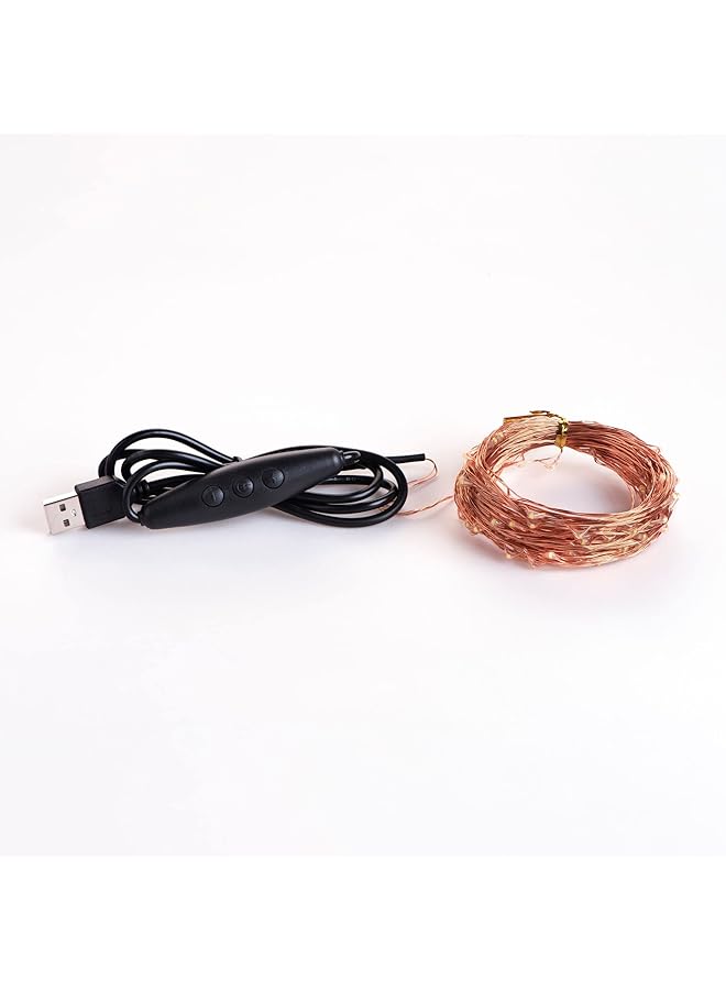 إيروريكس سلسلة أضواء LED زخرفية خرافية للديكور الداخلي والخارجي للمنزل في رمضان والعيد وأضواء الزفاف المعلقة لديكور غرفة النوم تعمل بالبطارية بضوء أبيض دافئ - Image 2