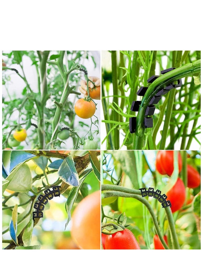 Generic 150 Pieces 90 Degree Plant Clips Branches Clips Control The Growth of Plants Branches Clamps for Low Stress Planting Clip  - Image 4