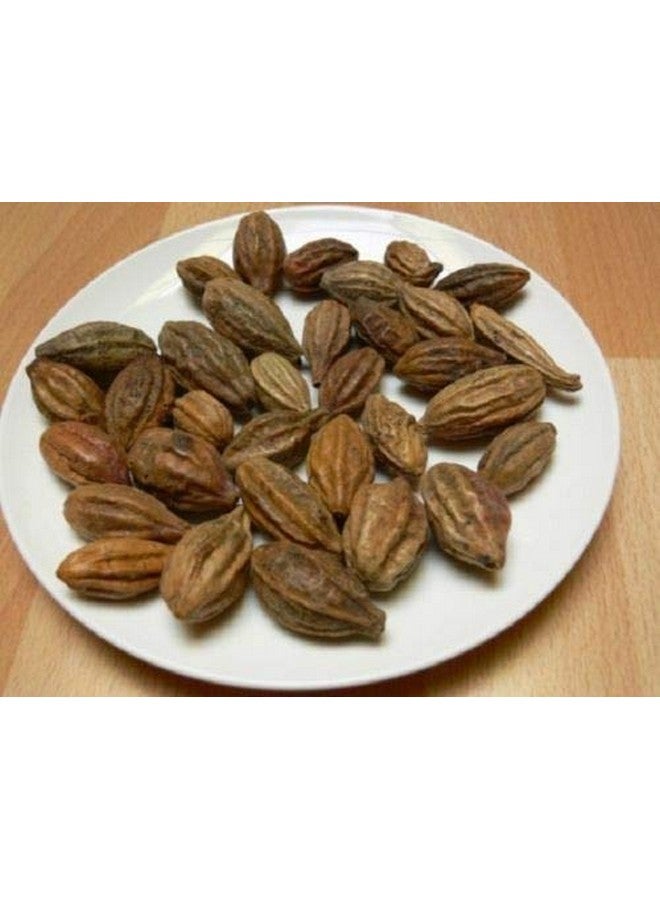 Harde Whole (Chebulic Myrobalan) - 100 Grams - Image 2