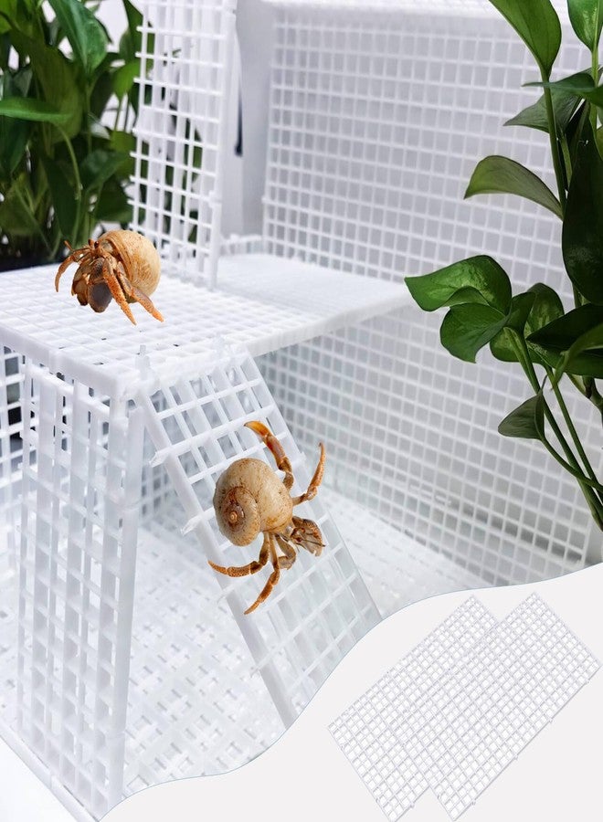 TTFdacai 4 Pcs Hermit Crab Climbing Toys Hermit Crabs Climbing Wall Reptile Habitat Grid DIY Mesh Hermit Crab Ladder Hermit Crab Climbing Grids for Hermit Crabs, Turtles, Tarantulas, Lizards - Image 4