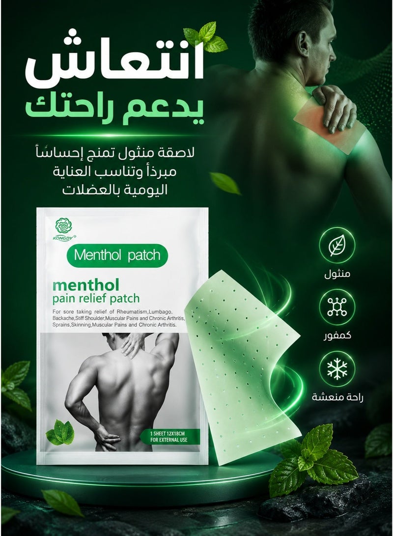 Cold back and shoulder heat patch set, shoulder and back pain relief patch used to help relieve muscle pain, joint pain patches, nerve shoulder pain, rheumatism, and back pain. Muscle strain patch, shoulder and muscle pain relief patches, heat patches for men and women, back patch, heating patch, thermal pain relief patches, back pain patches, muscle pain relief patches. - Image 1