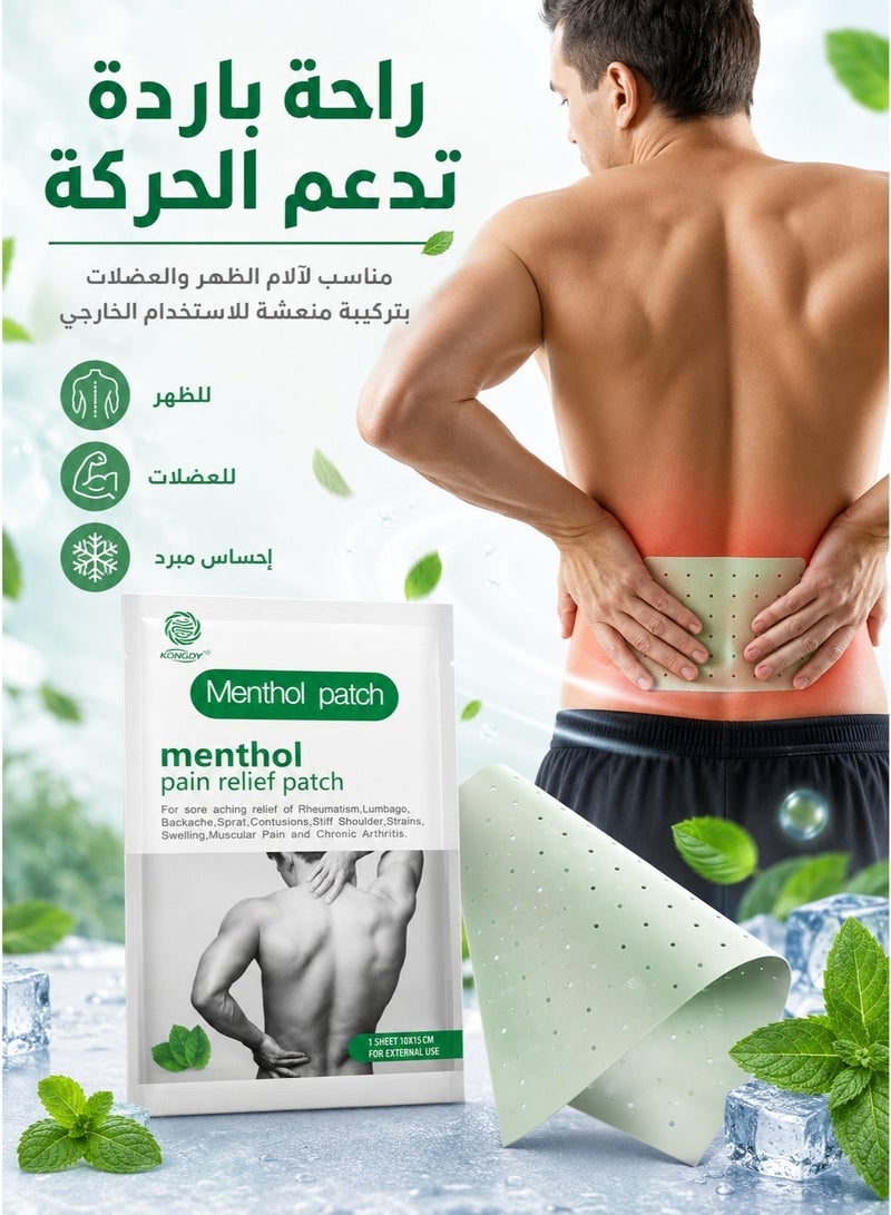 Cold back and shoulder heat patch set, shoulder and back pain relief patch used to help relieve muscle pain, joint pain patches, nerve shoulder pain, rheumatism, and back pain. Muscle strain patch, shoulder and muscle pain relief patches, heat patches for men and women, back patch, heating patch, thermal pain relief patches, back pain patches, muscle pain relief patches. - Image 2