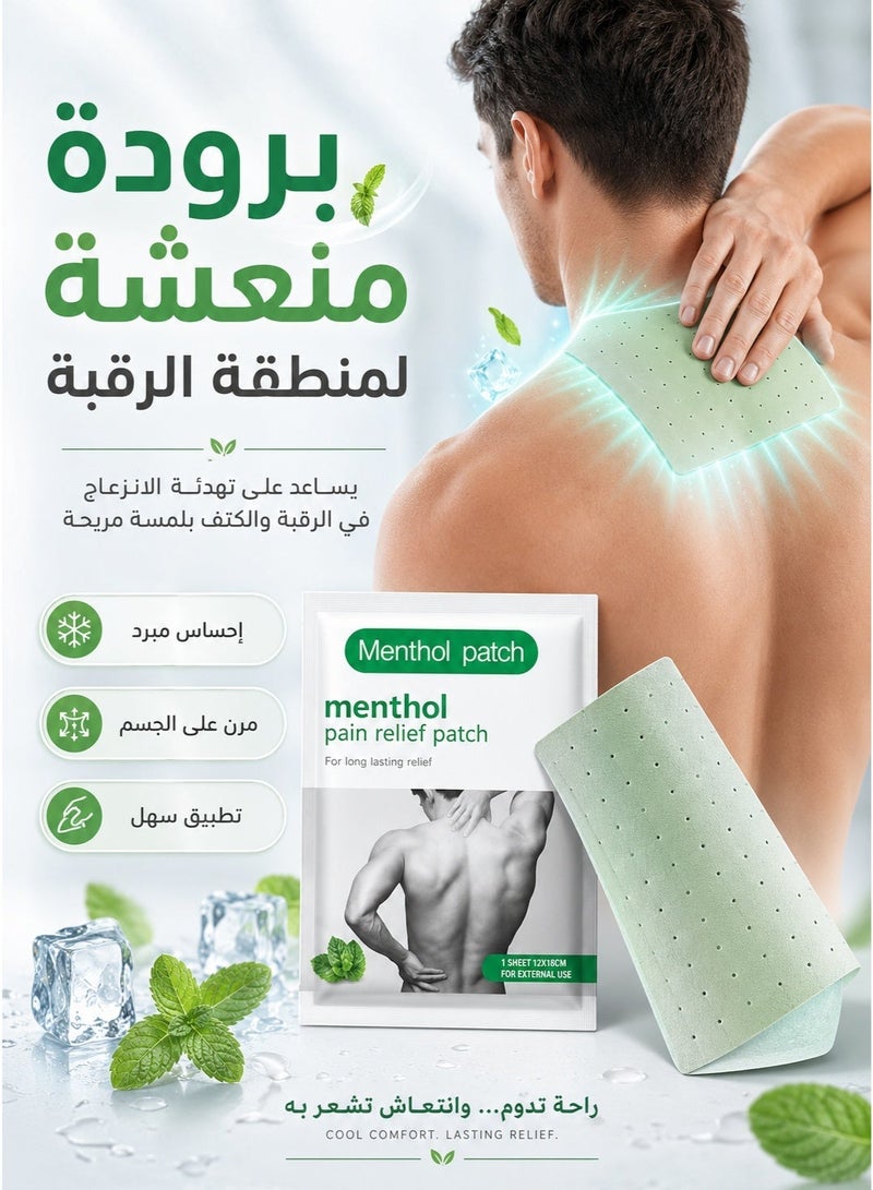 Cold back and shoulder heat patch set, shoulder and back pain relief patch used to help relieve muscle pain, joint pain patches, nerve shoulder pain, rheumatism, and back pain. Muscle strain patch, shoulder and muscle pain relief patches, heat patches for men and women, back patch, heating patch, thermal pain relief patches, back pain patches, muscle pain relief patches. - Image 4