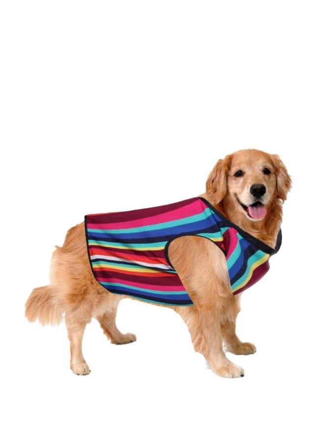 Sage Square Crazy Printed Dog T-Shirt, Trending Dog T-Shirt, Ultra Soft & Light Weight, Comfortable & Breathable Dog Apparel, Trendy Outfit (Large - 22 Inch) (Colorfull Stripes Print)  - Image 1