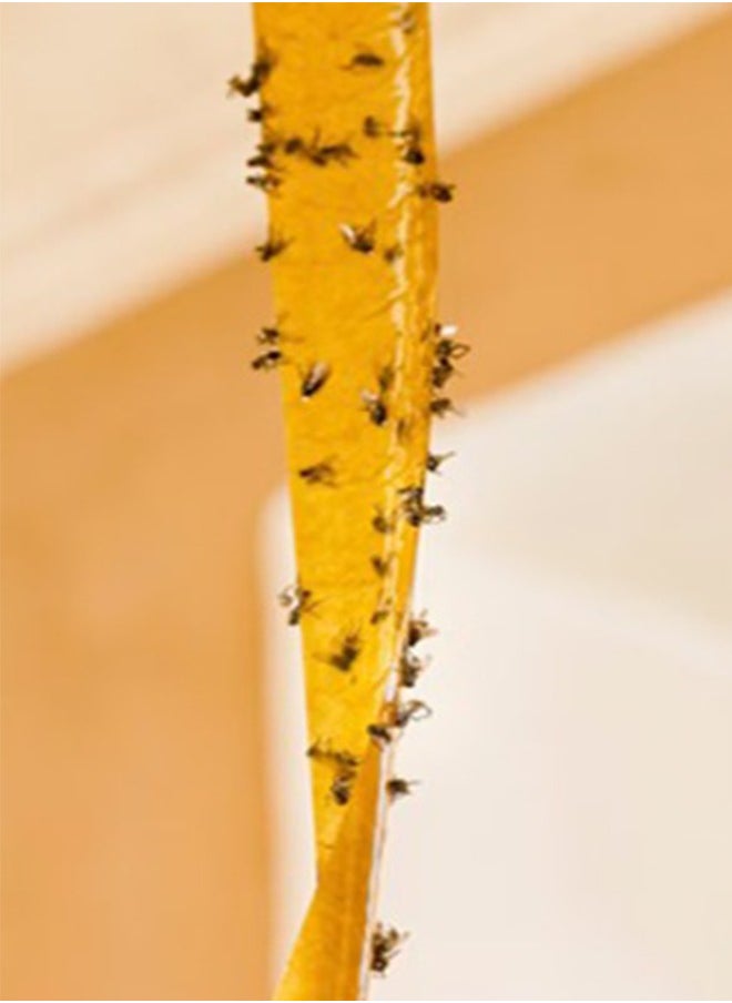PIC Imported adhesive strips for flies and flying insects - 4 strips  - Image 2