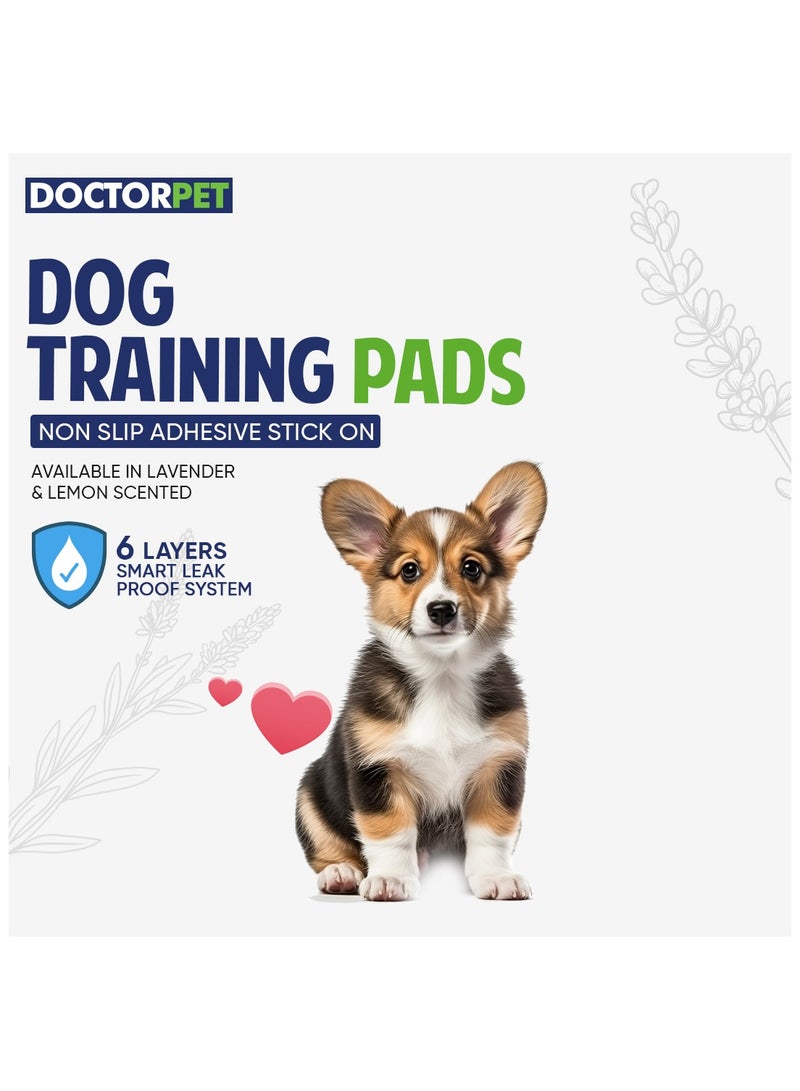 DOCTERPET Doctor Pet Training Pads Lavender 50's (45x60cm) – Medium Rapid-Dry Leak-Proof Pads,Scented, 6 Layers Quilted, Superior Absorption, Odor Control, Pet Training for Dogs, Cats, Rabbits - Image 4