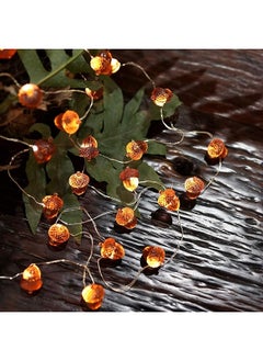 erorex Decorative Fairy Acorn String Lights Thanksgiving Decoration Autumn Garland Cute Novelty Lights 30 Leds 10 Ft Battery Operated For Bedroom Wedding Birthday Harvest Decor  - Image 5