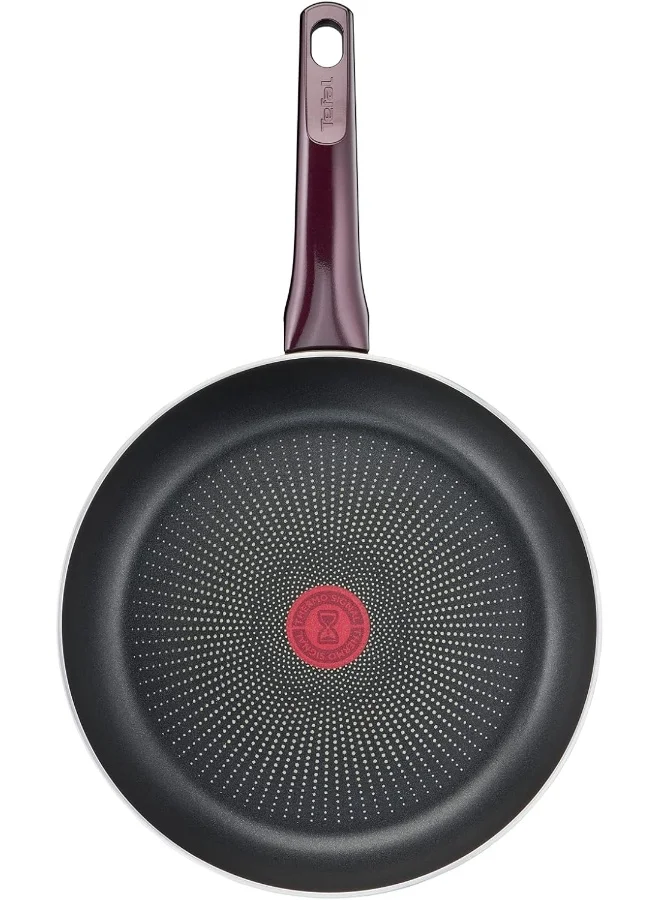 Tefal TEFAL Frying Pan | G6 Resist Intense 24 cm Non-Stick Frypan With Thermo Spot | Burgundy | 2 Years Warranty Black 24cm