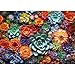 Edsjegn 1000 Piece Puzzle for Adults Colourful Flowers Succulent Plants Puzzle for Adults Children Recycled Paper Jigsaw Puzzle 1000 Pieces Fun and Challenging Family Game Great Gift Idea 28 20 in - Image 2