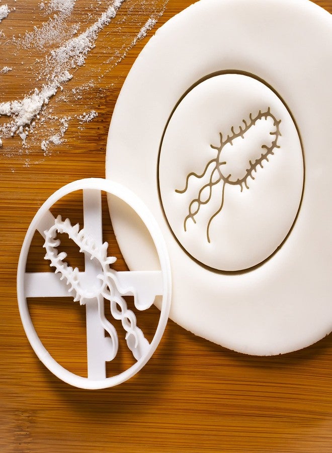 Bakerlogy Set of 2 Virus and Bacteria cookie cutters (Design: Virus and Bacteria), 2 pieces - Bakerlogy - Image 4
