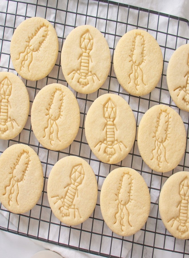 Bakerlogy Set of 2 Virus and Bacteria cookie cutters (Design: Virus and Bacteria), 2 pieces - Bakerlogy - Image 3