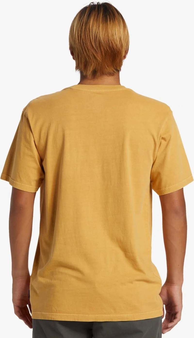 QUIKSILVER Salt Water Men's T-Shirt AQYZT09558-69 AQYZT09558-69006