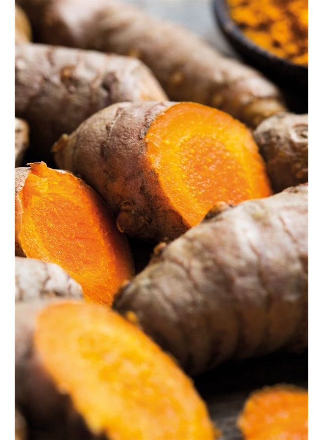 SHATAVARI EVERYOUNG Ayurvedic Elixir Skin & Soul Body Oil, 100% Natural, Herbal & Vegan, Firming oil for your skin, refines, renews, and promotes elasticity, 3.38 oz