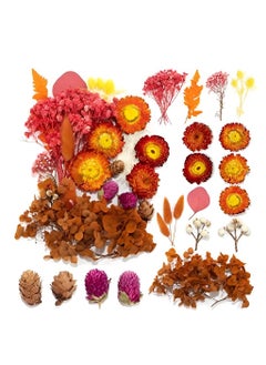 SUPVOX Supvox® DIY Resin Art Decor Natural Dried Flower Set for Resin Art Scented Candle Decor Photo Frame Ornament Room Decoration(Orange)  - Image 1
