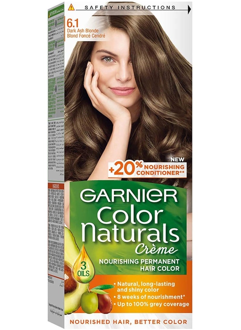Garnier Garnier Color Naturals Permanent Creme Hair Color - 6.1 Dark Ash Blonde 112 ML  - Image 1