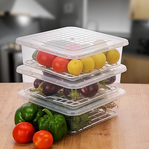 Homeor Plastic Multi-Purpose Food Storage Container With Removable Drain Plate And Lid,Stack-Able Freezer Storage Containers To Keep Fresh For Vegetables,Fruits,Fish,Meat,Transparent,2500 Ml Set Of 6 - Image 4