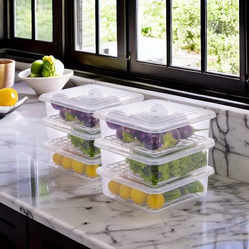 Homeor Plastic Multi-Purpose Food Storage Container With Removable Drain Plate And Lid,Stack-Able Freezer Storage Containers To Keep Fresh For Vegetables,Fruits,Fish,Meat,Transparent,2500 Ml Set Of 6 - Image 1