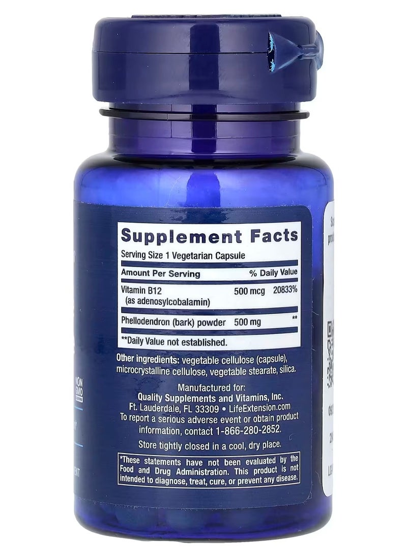 لايف إكستنشن تمديد الحياة، ميزة الدوبامين، 30 كبسولة نباتية - Image 2