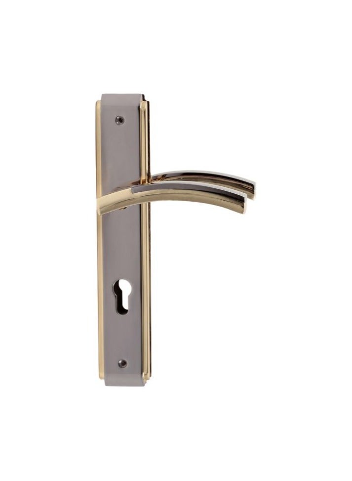 ACS DOOR HANDLE AA99-AA95 Shinning Black/Gold - Image 2