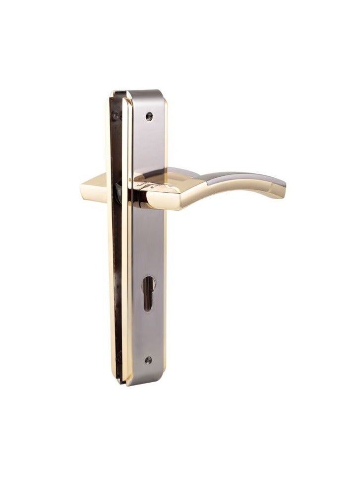 ACS DOOR HANDLE AA99-AA95 Shinning Black/Gold - Image 1