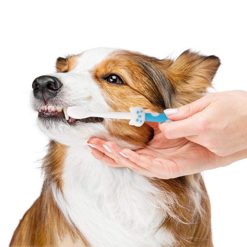 Soft Bristle Dual Sided Pet Toothbrush For Dogs Cats Oral Care Portable Reusable Teeth Cleaning Tool - Image 4