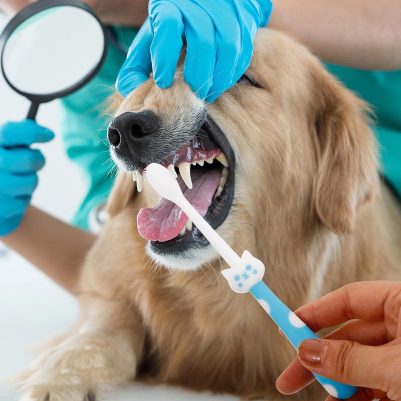 Soft Bristle Dual Sided Pet Toothbrush For Dogs Cats Oral Care Portable Reusable Teeth Cleaning Tool - Image 3
