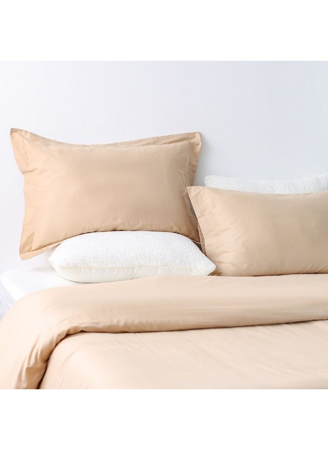 DANUBE HOME Bliss 3 - Pieces Cotton Super King Fitted Set - Beige - 200x200 cm + 35 cm 50x75 cm | 100% Cotton - 144 Thread Count Quilt Cover Comfortable Bedding Cover For Bedroom  - Image 3