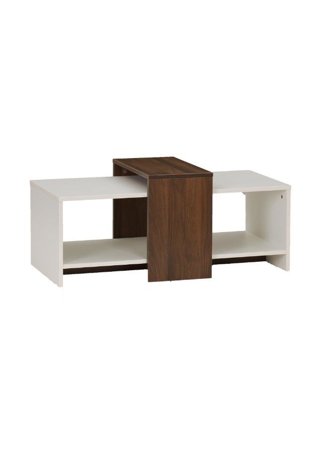 ROYALOAK Ivan Coffee Table | Engineered wood | Melamine finish | Bottom shelf | Dual color | Modern design | Wooden Coffee Table - Image 4