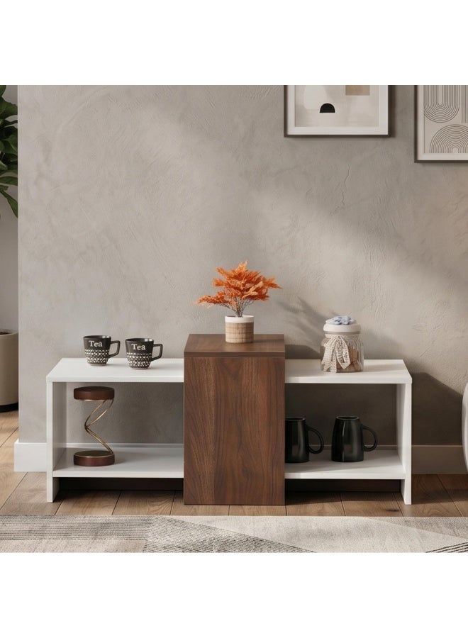 ROYALOAK Ivan Coffee Table | Engineered wood | Melamine finish | Bottom shelf | Dual color | Modern design | Wooden Coffee Table - Image 1