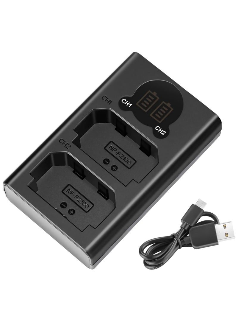 Camera Battery Charger, LP Dual USB Charger with LCD Display, Compatible with Sony A6600 A9 A9R A9S A9II A7C A7S A7SIII A7III A7RIII A7RIV A7IV Cameras, Charging Station for Sony - Image 1