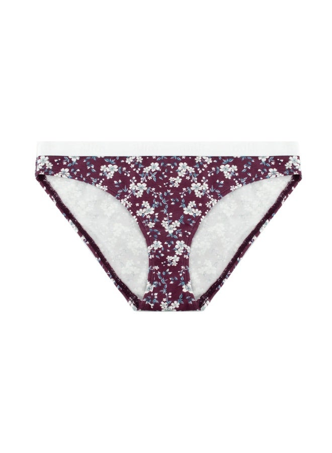 Milk Pack of 14 Extra Bikini Cotton Panties for Women - Image 2