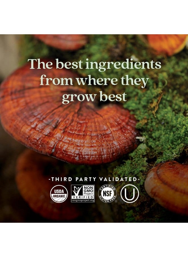 New Chapter Fermented Vitamin D3 2,000 IU, Organic, ONE Daily for Immune, Heart & Bone Support + Whole-Food Turmeric, Adaptogenic Reishi Mushroom, 100% Vegetarian, Gluten Free, 60 Count - Image 5