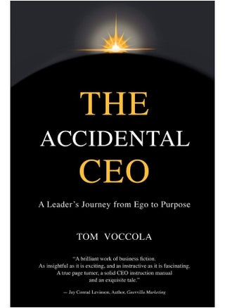 The Accidental CEO - A Leader's Journey from Ego to Purpose - pzsku/Z673FAB0E995DA33D142AZ/45/_/1733824112/91a3147d-3f15-4ff4-8355-c78f4bbea0d8