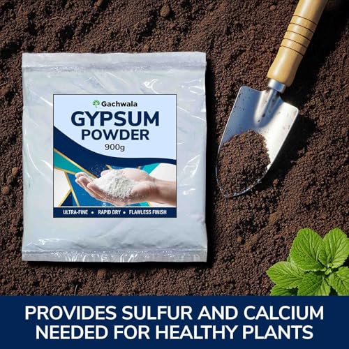Gachwala Gypsum Powder 900gm | for Mushroom Cultivation, Grain Spawn & Substrate Preparation | Ideal Soil Conditioner for Gardening & Composting | Multi-Purpose Use in Crafts and Molds - Image 2