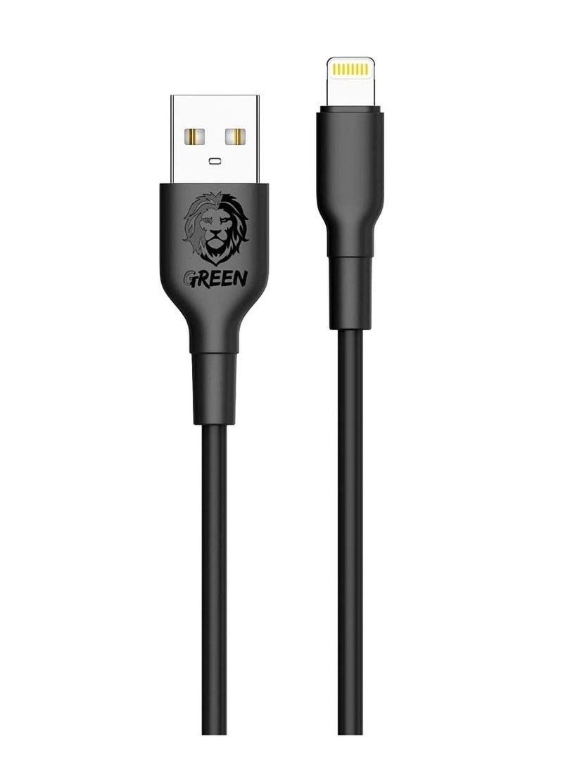 GREEN LION USB to Lightining Fast charge and Sync Cable