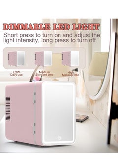 6L Portable Mini Fridge Cooler and Warmer Small Personal Fridge for Skin Care, Cosmetics, Drinks, Food, Great for Bedroom, Office, Car Fridge, Dorm (Pink) - pzsku/Z6741F833A09D41234859Z/45/_/1723540749/9bb5781c-38ba-48fe-b23b-b96d81f7afc9