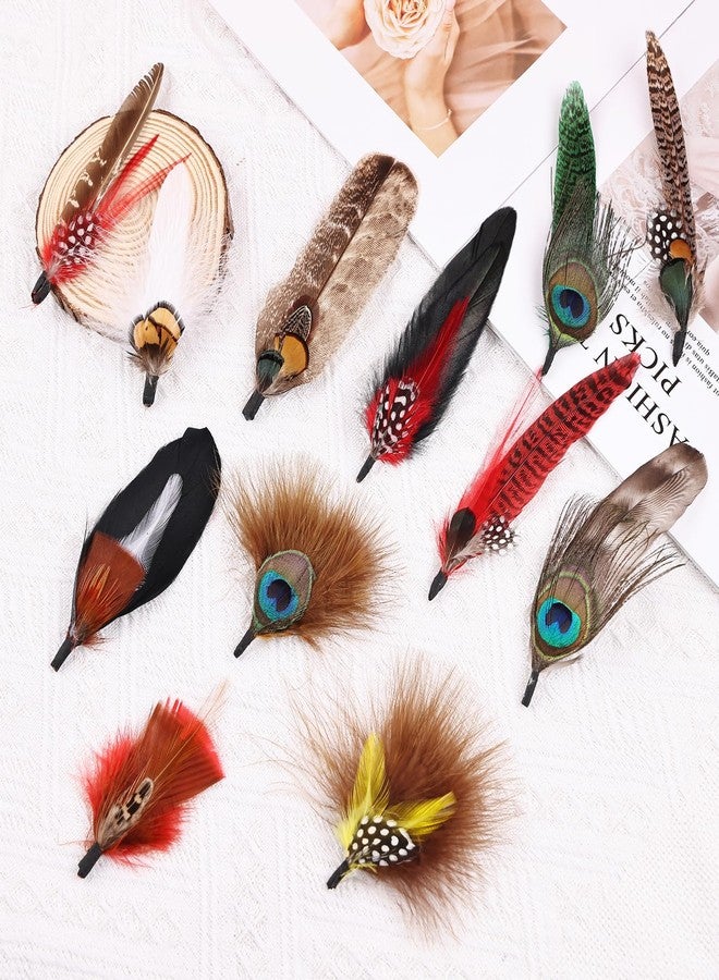 iHUFeather 12Pcs Hat Feathers, Natural Feathers Peacock Feathers for Hats, Colorful Feathers Pin Cowboy Hat Feather for Western Cowboy Hats Party Hats, Feathers Accessories DIY Decorations(12 Style) - Image 3